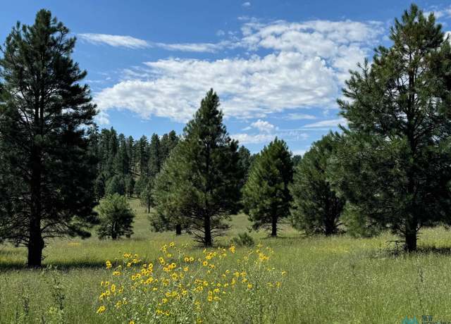 Property at 23 Mail Trl, Luna, NM 87824