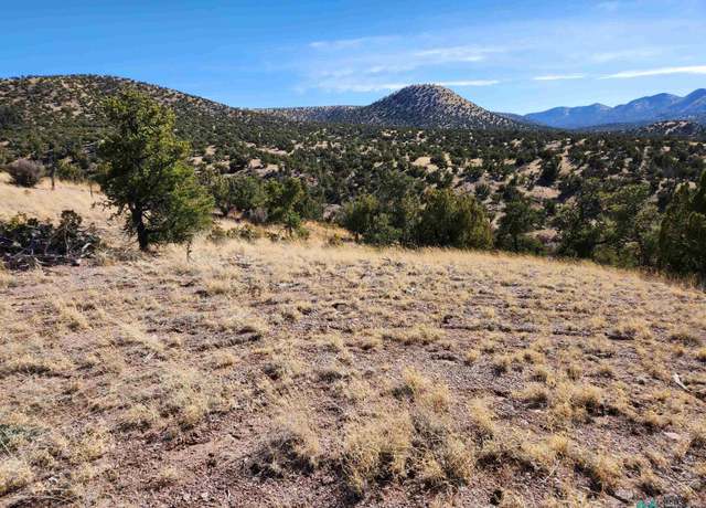 Property at 0000 Tbd Nm 169 State Rd, Magdalena, NM 87825