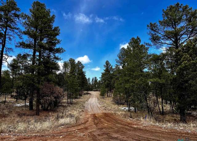 Property at TBD Timber Lot16 Dr, Timberon, NM 88350