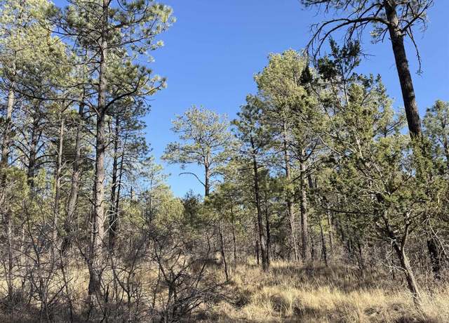Property at 52 Oakmont Dr, Timberon, NM 88350