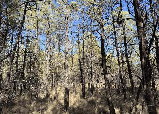 Property at 58 Oakmont Dr, Timberon, NM 88350