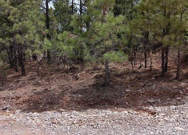 Property at Lot 21 Wishita Dr, Timberon, NM 88350