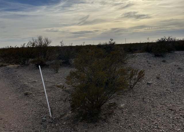 Property at XXXX Roadrunner Lane Lot 8, Columbus, NM 88029