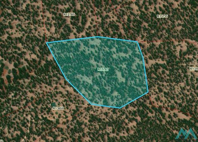 Property at TBD Off Of Sassy Ln, Grants, NM 87020