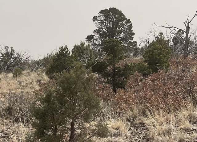 Property at Lot 4 Browning St, Timberon, NM 88350