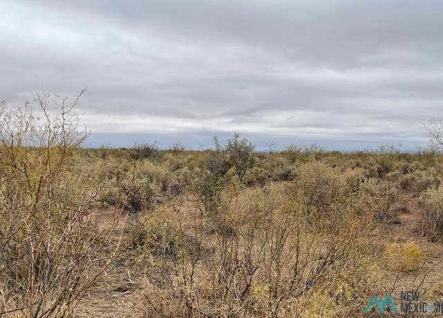 Property at XXXX Olympic Rd SE, Deming, NM 88030
