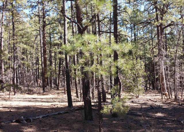 Property at Lot 34c Mcgaffey Pnes, Mcgaffey, NM 87316