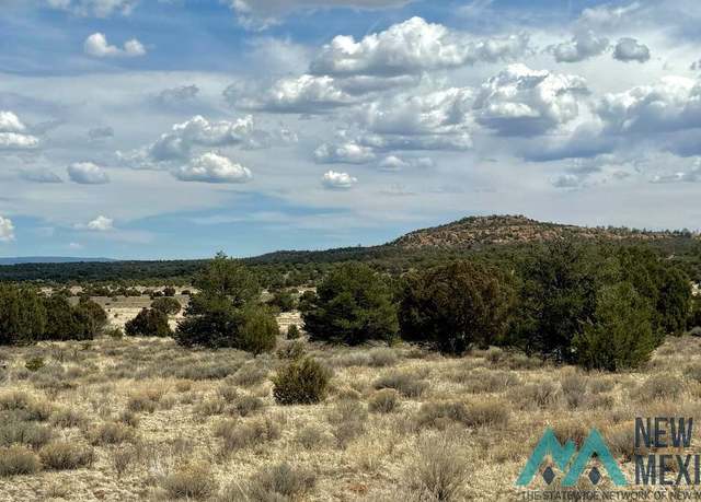 Property at 16 Five Gate Rd, Pinehill, NM 87357