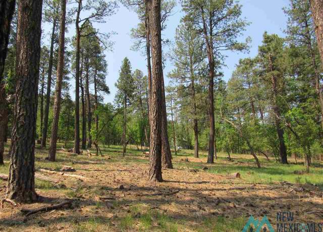 Property at 47, 48, 49 Camino Facil Rd, Rociada, NM 87742