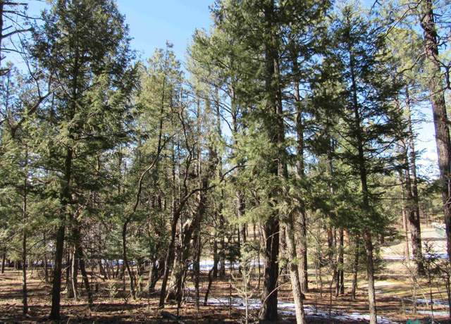 Property at 44 W Forest Rd, Rociada, NM 87742