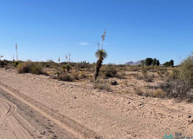 Property at XXXX Rivera Rd SW, Deming, NM 88030