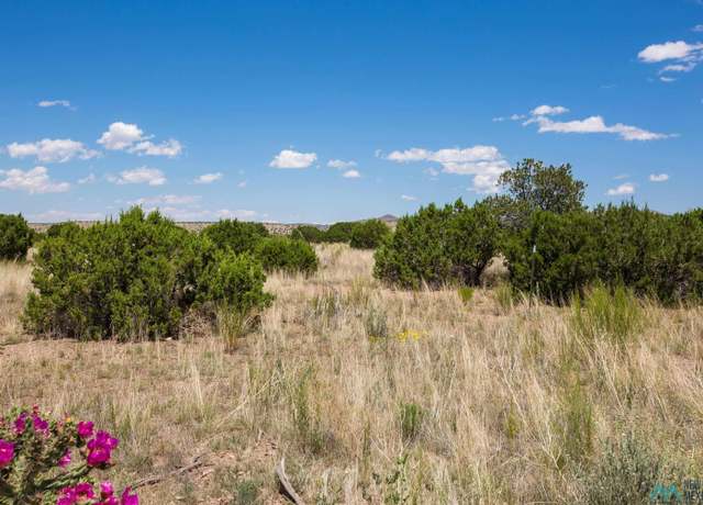 Property at 58 Pinon Rnch, Magdalena, NM 87825