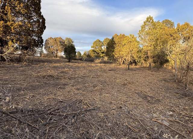 Property at 153 Eldrado Dr, Timberon, NM 88350
