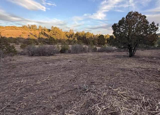 Property at 165 Eldrado Drs, Timberon, NM 88350