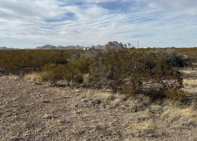 Property at XXXX Coyote Lane Lot 19, Columbus, NM 88029