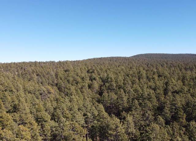 Property at Lot 33B Mcgaffey Pnes, Mcgaffey, NM 87316