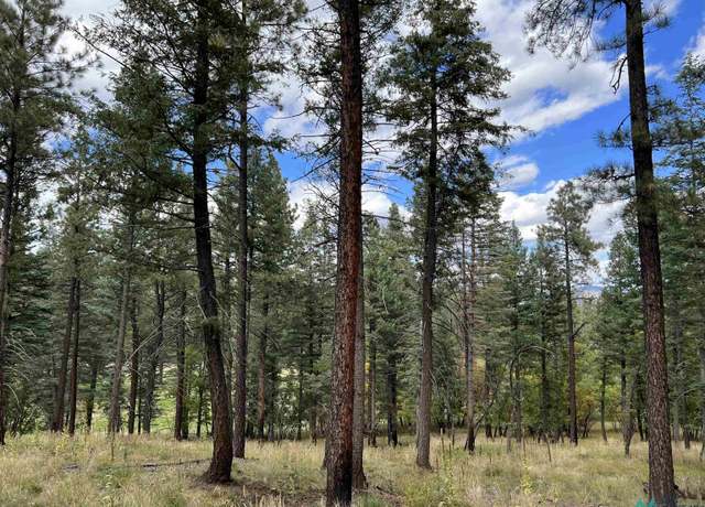Property at 90 Camino Facil Rd, Sapello, NM 87742