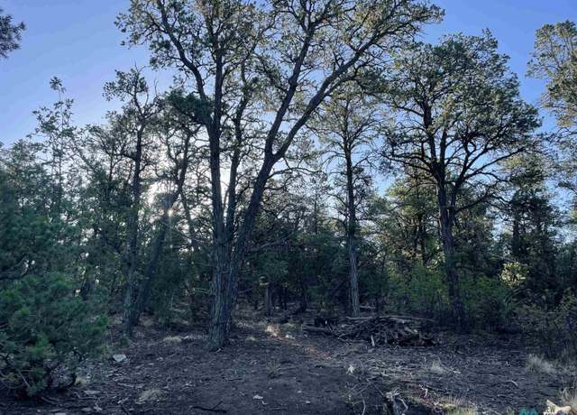Property at Lot 25 Block 4 Box Rd S, Ramah, NM 87321
