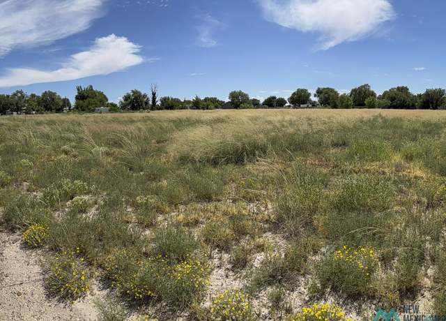 Property at 00 Ocotillo Ave, Roswell, NM 88201