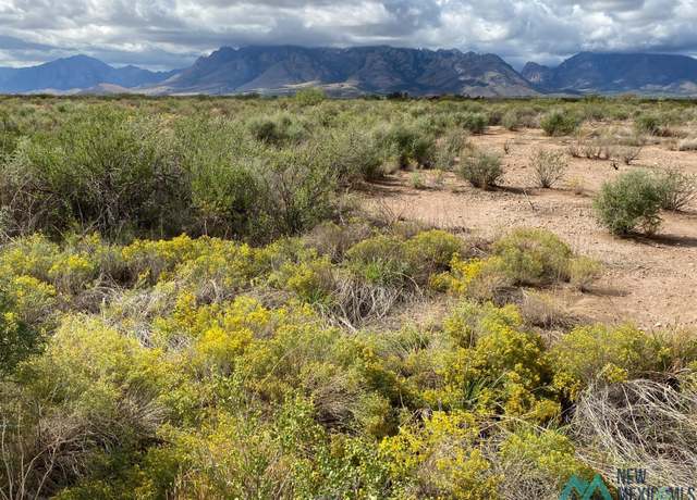 Property at TBD Caballos Dr, Rodeo, NM 88056