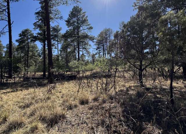 Property at Lot95 Tonto Dr, Timberon, NM 88350