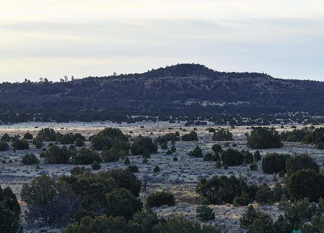 Property at 000 Indian Service Rt. 113, Ramah, NM 87321