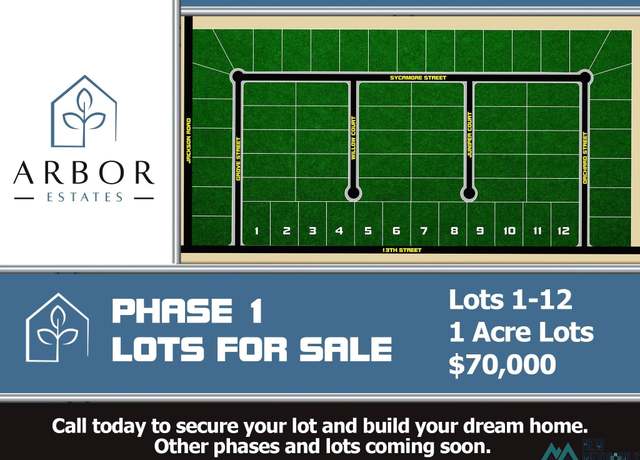 Property at Lot 8 13th Rural, Artesia, NM 88210