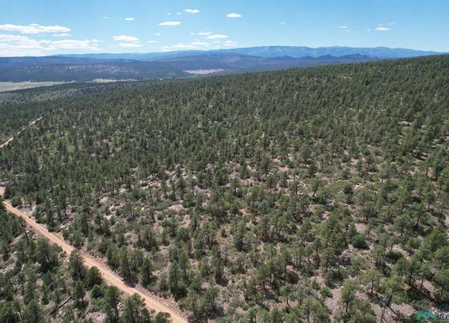 Property at Lot M & G La Rama Road Cr013, Golondrinas, NM 87712