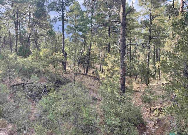Property at 19 Buckwood Dr, Timberon, NM 88350