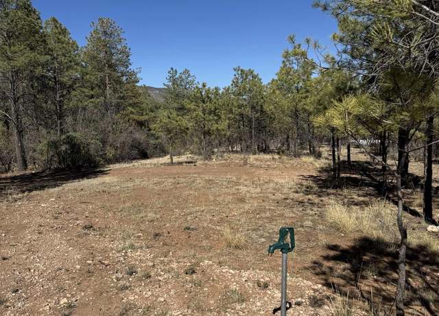 Property at Lot8&9 Winter Dr, Timberon, NM 88350