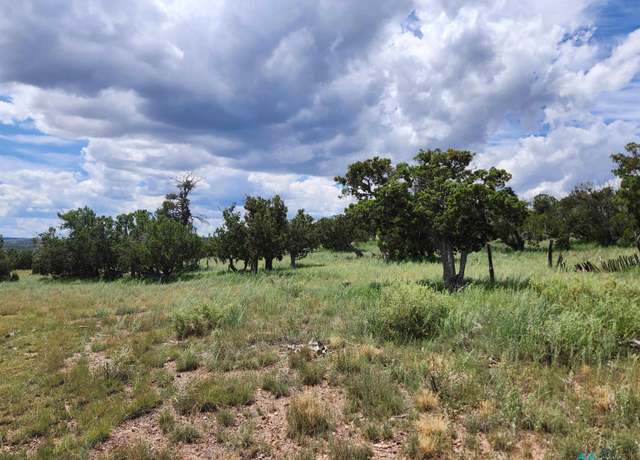 Property at Cimarron Dr, Quemado, NM 87829