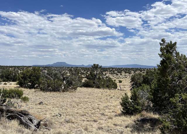 Property at Warpath Rd, Quemado, NM 87829