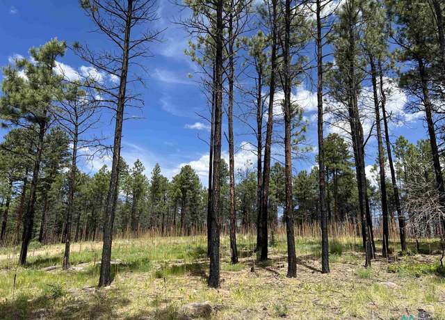 Property at 152 Calle Retiro Rd, Rociada, NM 87742