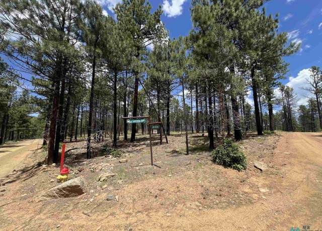 Property at 154 Calle Retiro Rd, Rociada, NM 87742