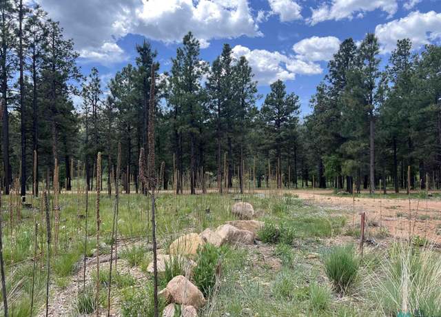 Property at 22 Calle Retiro Rd, Rociada, NM 87742