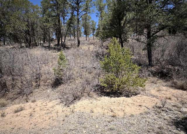Property at Lot 103 Wishita Dr, Timberon, NM 88350