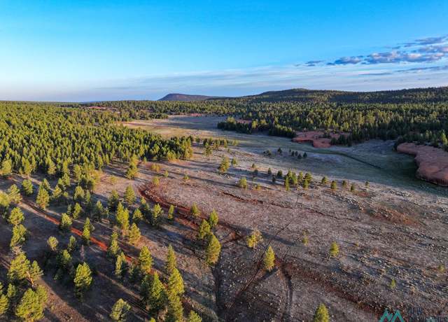 Property at 000 T12n R15w, Grants, NM 88007