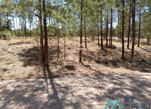 Property at Lot 2 Balkans Dr, Timberon, NM 88350