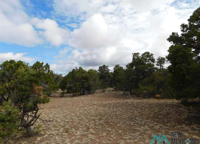 Property at 174 Agua Fria Loop, Quemado, NM 87829