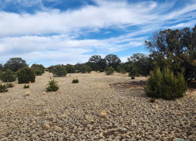 Property at TBD Pinon Rd, Quemado, NM 87829