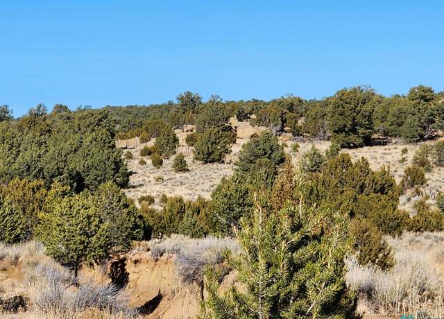Property at Ponderosa Ranches Rd, Pie Town, NM 87827