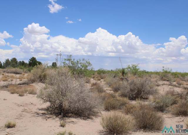 Property at Tomorrow Land Ests, Deming, NM 88030