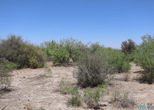 Property at Camino Once Rd SW, Deming, NM 88030