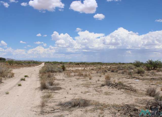 Property at Tomorrow Land Estates Bk D, Deming, NM 88030