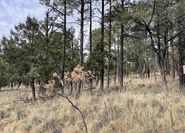 Property at Lot 7 Carson Dr, Timberon, NM 88350
