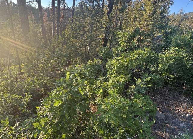 Property at Lot 3 Gemini Rd, Timberon, NM 88350