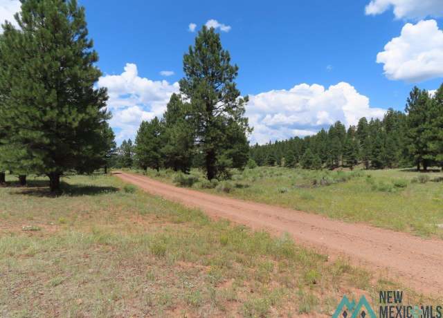Property at TBD Forest 50 Rd, Grants, NM 87020