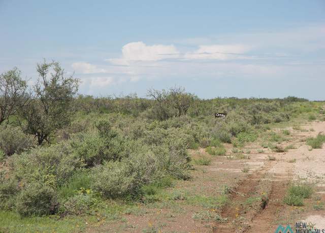 Property at Camino Dos Rd SW, Deming, NM 88030