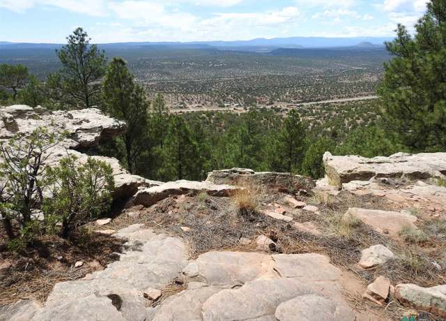 Property at 140 Apache Mesa Rd, Los Montoyas, NM 87701