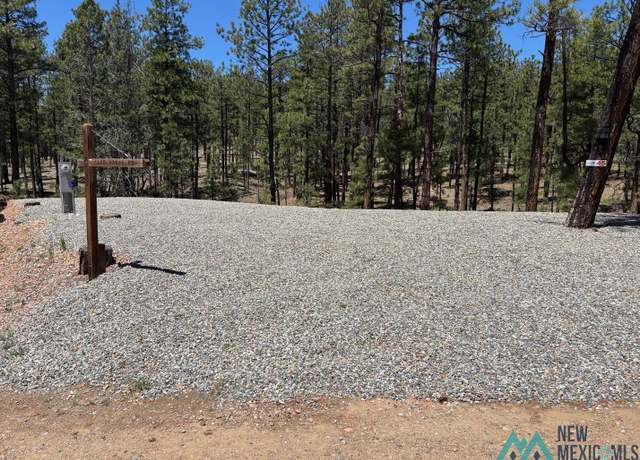Property at 45 Clubhouse Dr, Rociada, NM 87742
